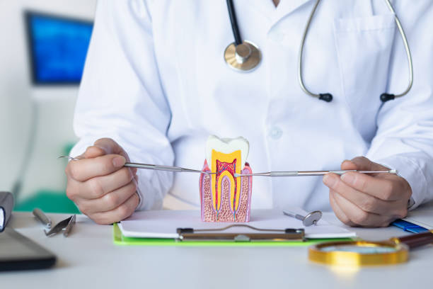 Best Dentist for Tooth Abscess  in Northfield, OH